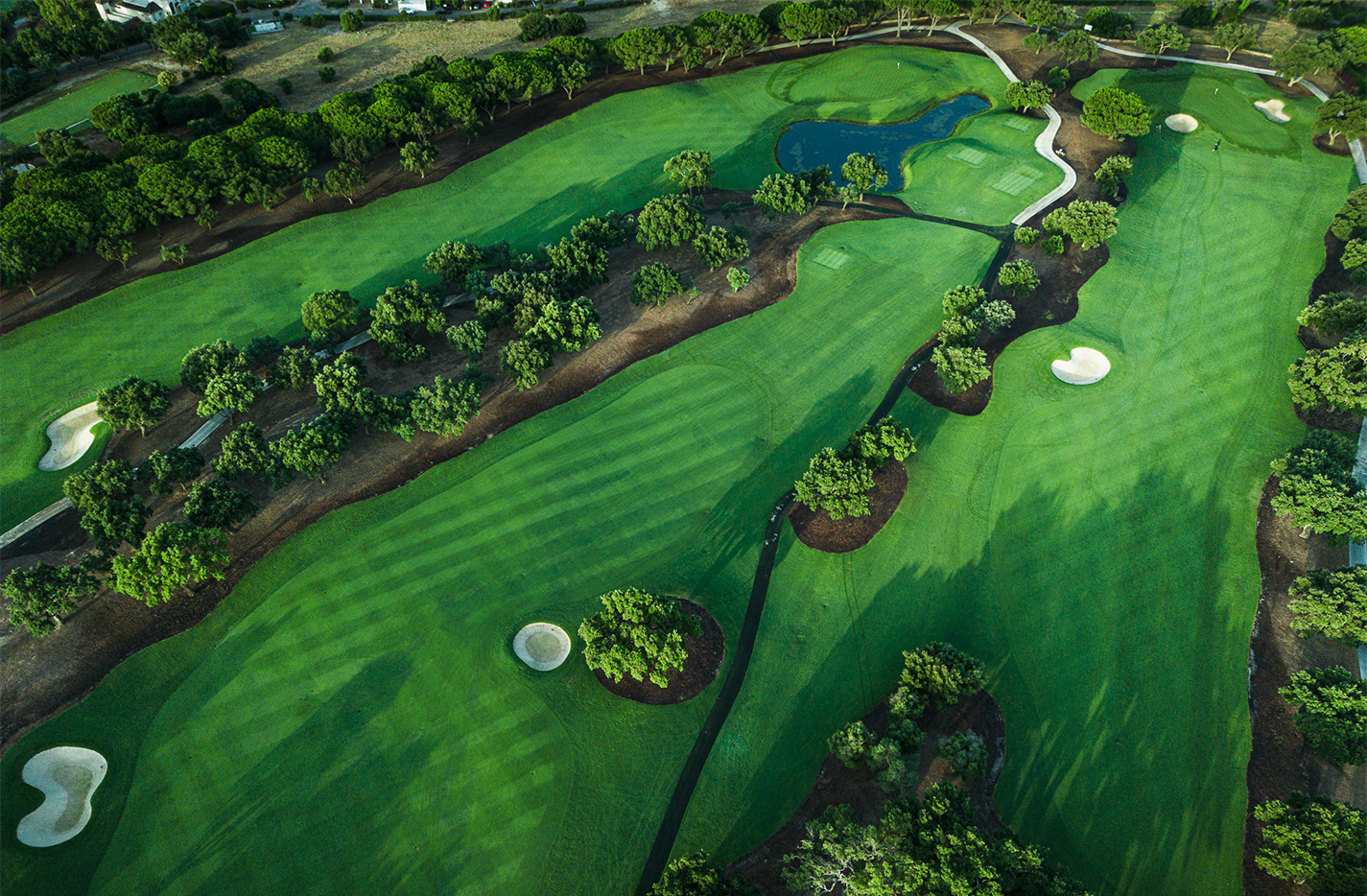 The Old Course